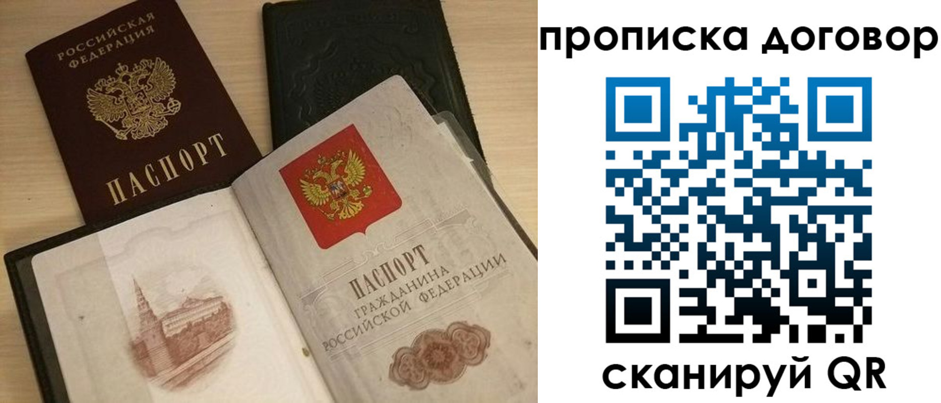 прописка поиск в Белгородской области